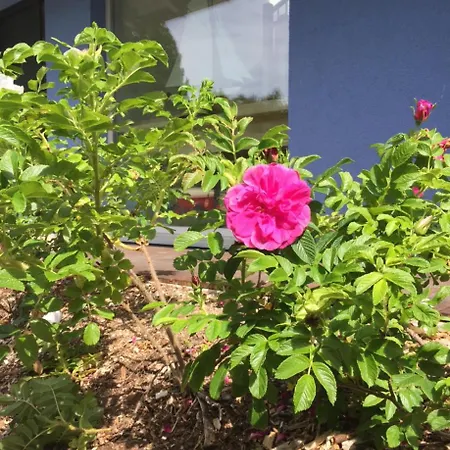 Haus Marianne Prázdninový dům *