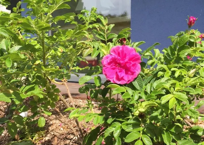 Haus Marianne 펜션 *